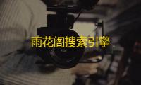 雨花阁搜索引擎